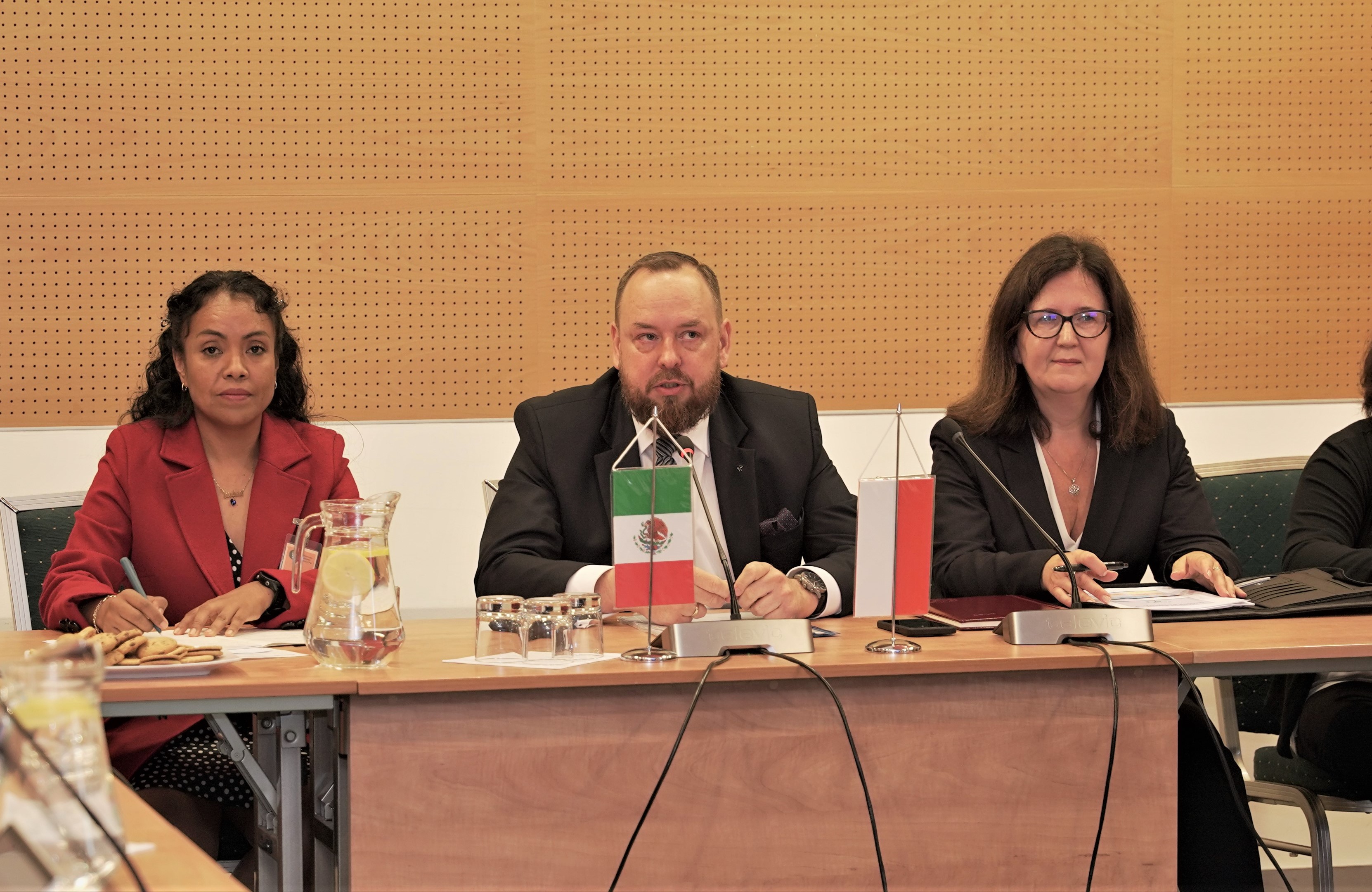Audyt służby właściwej Meksyku w polskich zak�